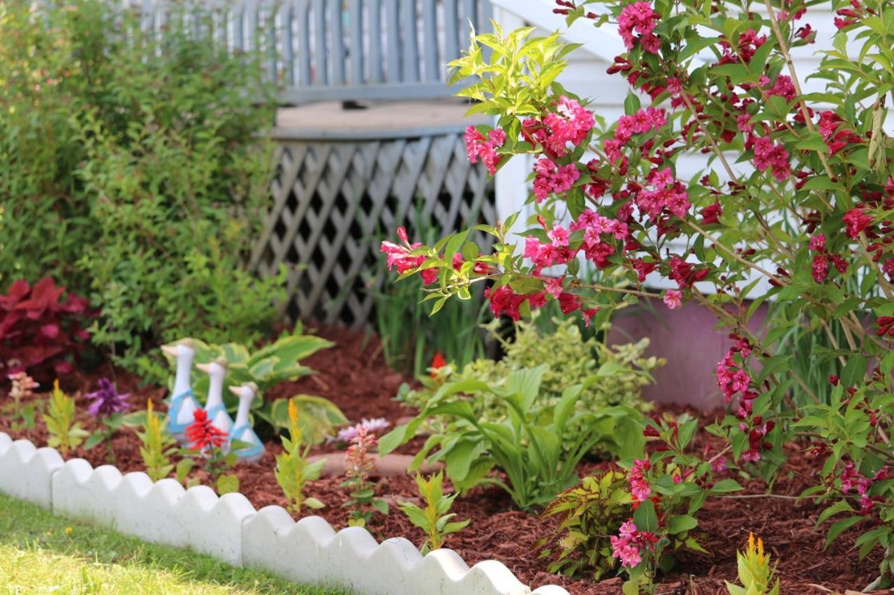 Baker Shore Bed&Breakfast Summerside Eksteriør bilde